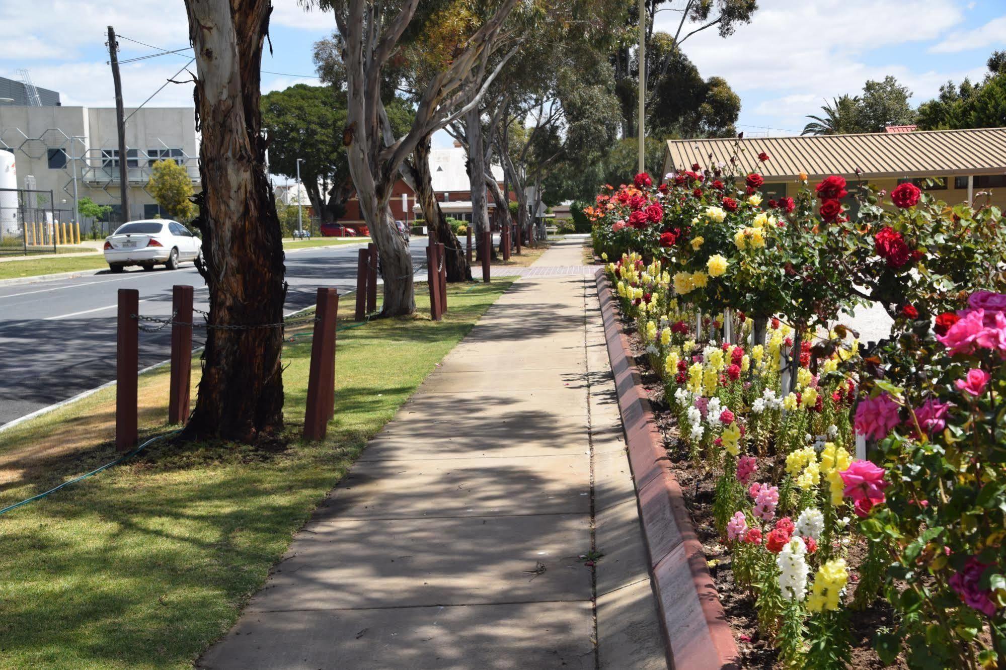 Big River Motel Echuca Luaran gambar